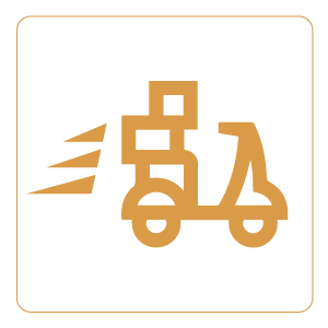 Icône
